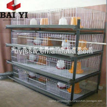 Poultry Farm Chicken Cage ( Design Layer, Best Quality )